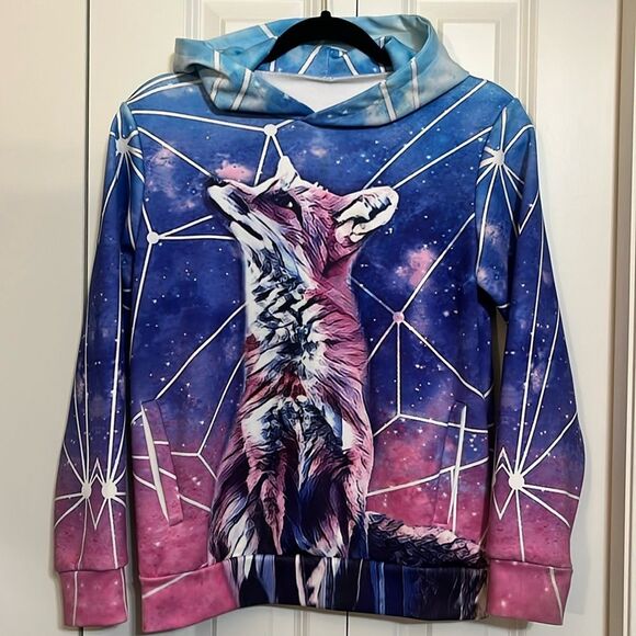 Galaxy Fox Animal Blue Pink Hoodie Sweatshirt Top - Picture 1 of 7